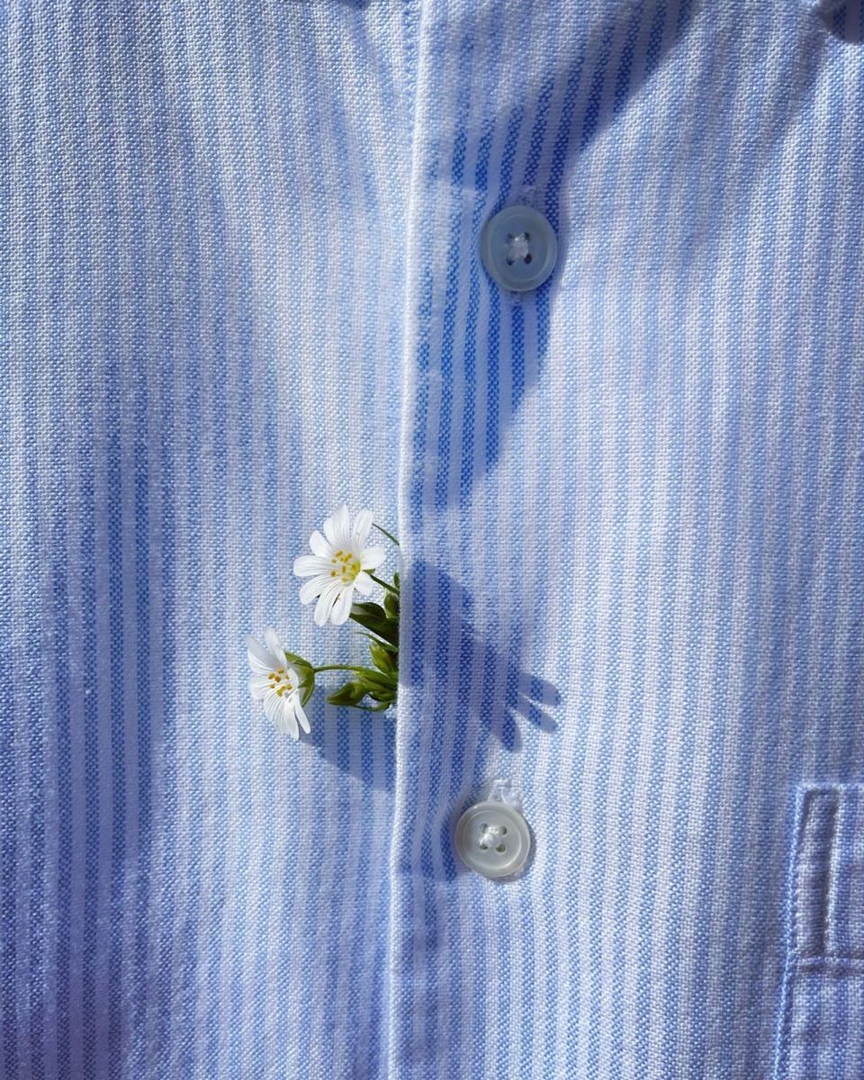 Cận cảnh sơ mi oxford sọc xanh trắng cài hoa cúc nhỏ